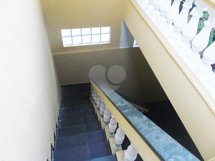 Foto REO71770