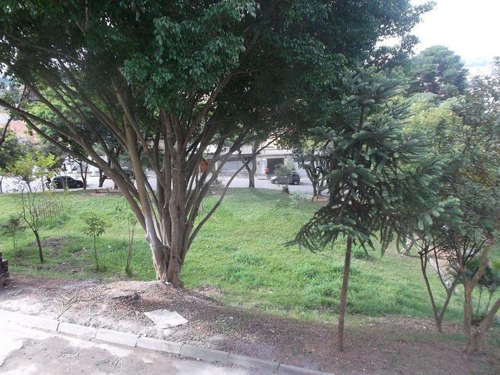 Foto REO71770