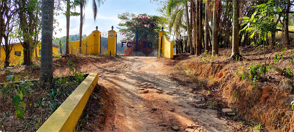 Venda Fazenda Amparo Área Rural De Amparo REO718255 17