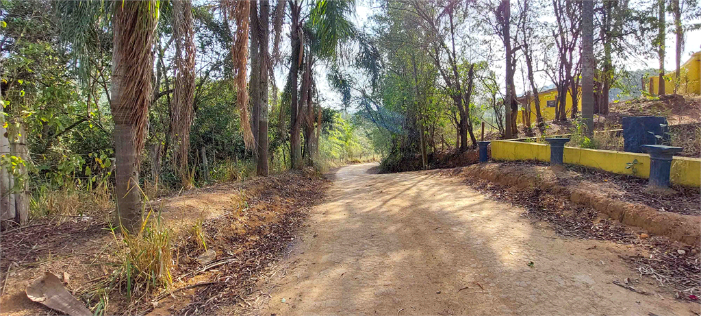 Venda Fazenda Amparo Área Rural De Amparo REO718255 1