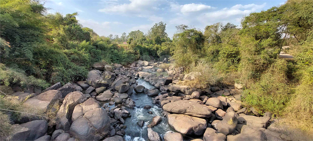 Venda Fazenda Amparo Área Rural De Amparo REO718255 31