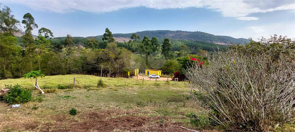 Venda Fazenda Amparo Área Rural De Amparo REO718255 12