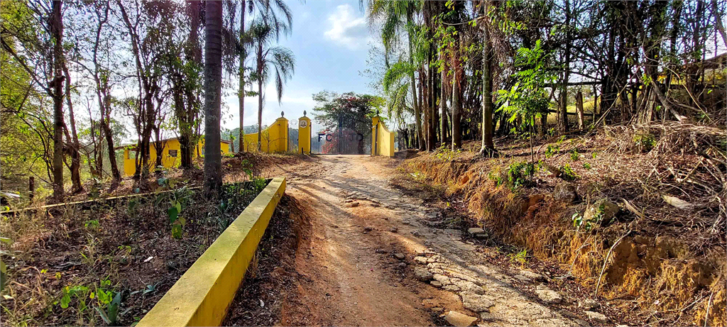 Venda Fazenda Amparo Área Rural De Amparo REO718255 16