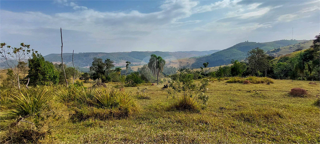 Venda Fazenda Amparo Área Rural De Amparo REO718255 24