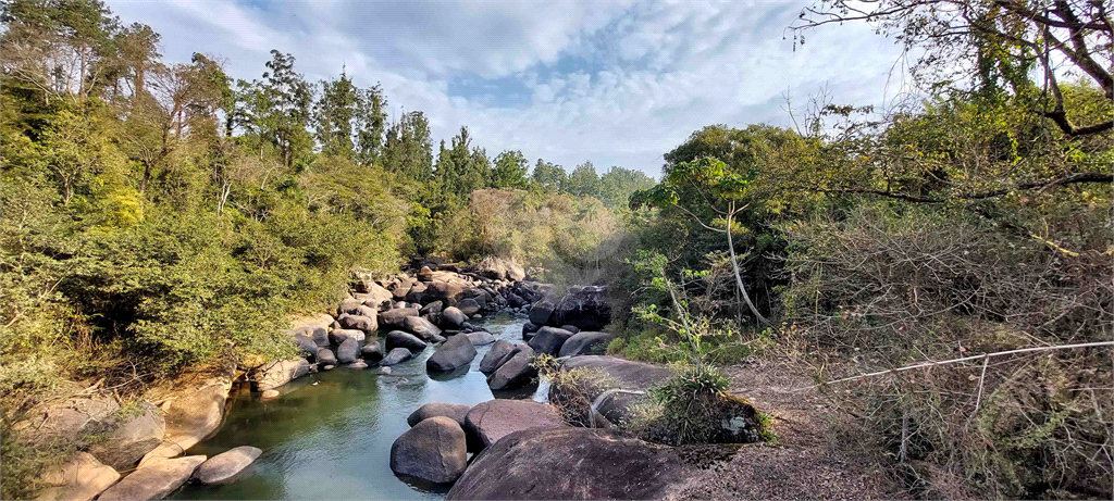 Venda Fazenda Amparo Área Rural De Amparo REO718255 29