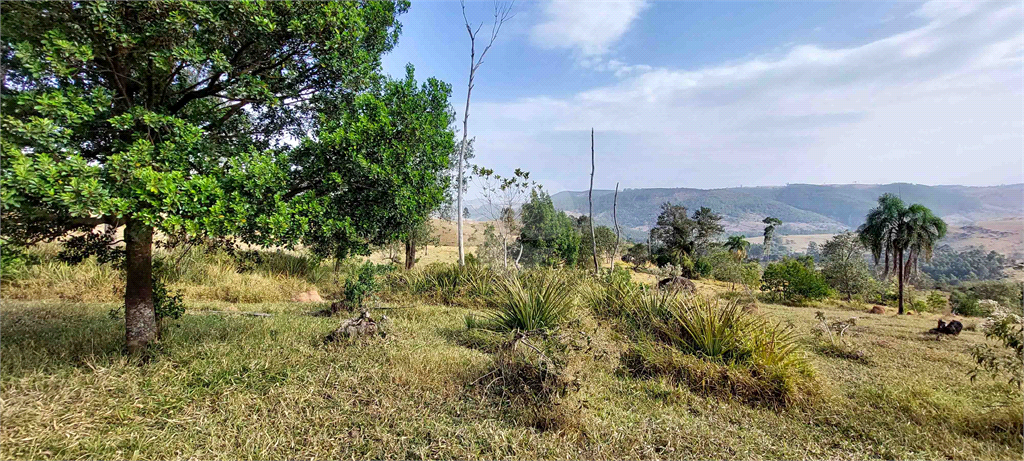 Venda Fazenda Amparo Área Rural De Amparo REO718255 25