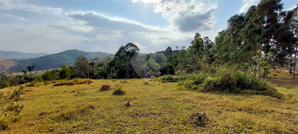 Venda Fazenda Amparo Área Rural De Amparo REO718255 26