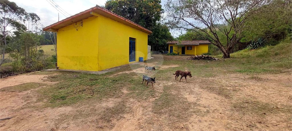 Venda Fazenda Amparo Área Rural De Amparo REO718255 8