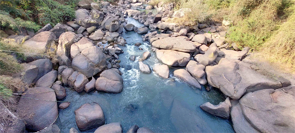 Venda Fazenda Amparo Área Rural De Amparo REO718255 30