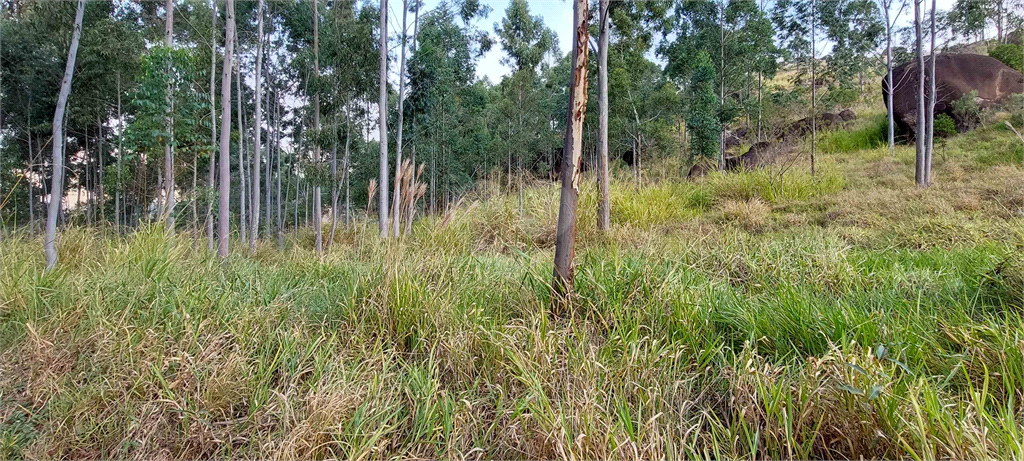 Venda Fazenda Amparo Área Rural De Amparo REO718255 20