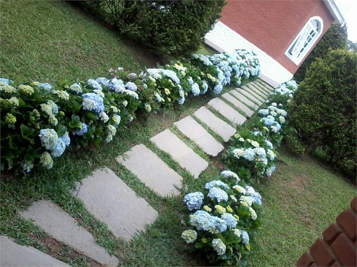 Foto REO71830