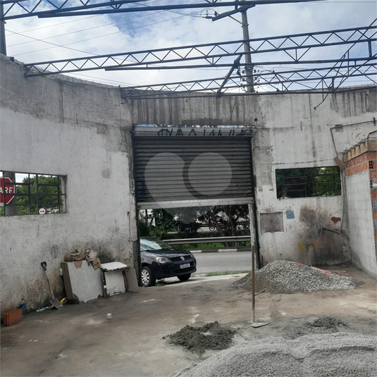 Foto REO718571