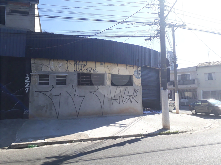 Foto REO718571