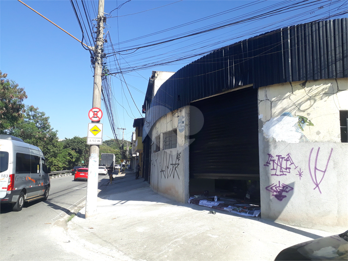 Foto REO718571