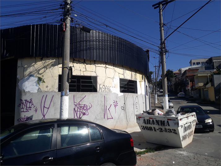 Foto REO718571