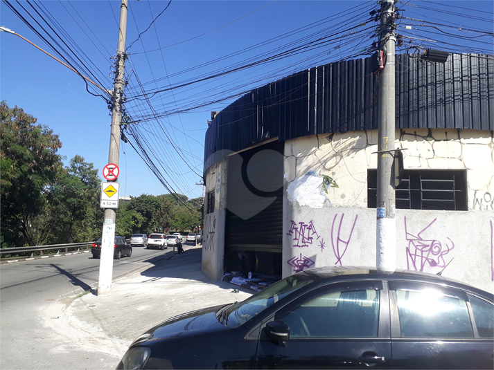 Foto REO718571