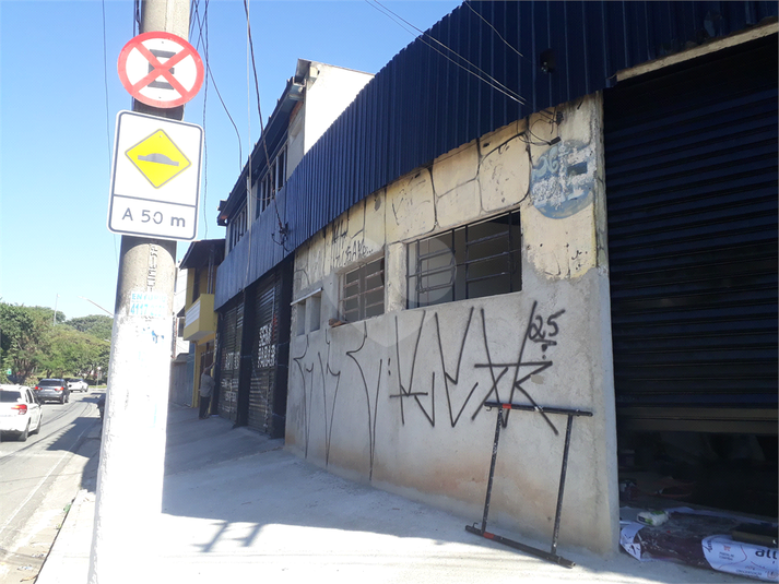 Foto REO718571