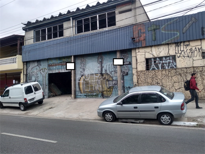 Foto REO718573