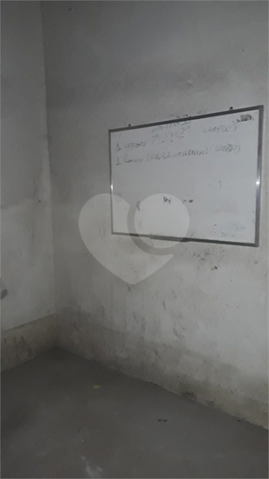 Foto REO718573