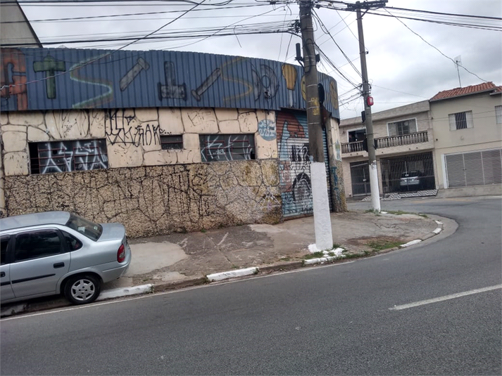 Foto REO718573