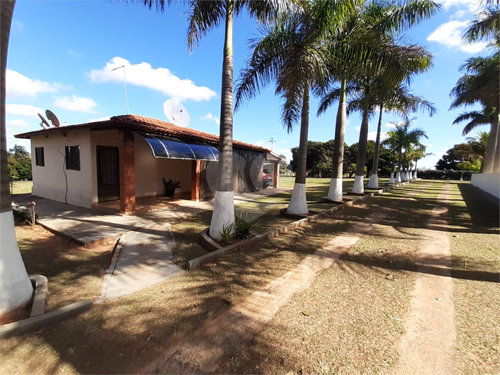 Foto REO719259