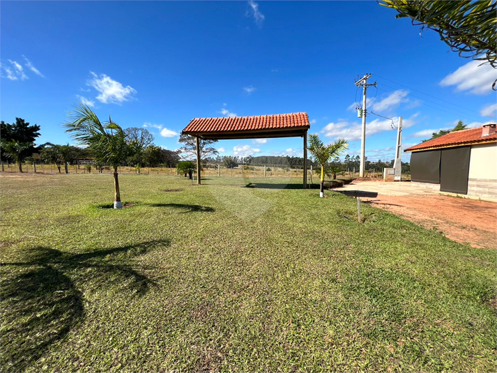 Foto REO719259