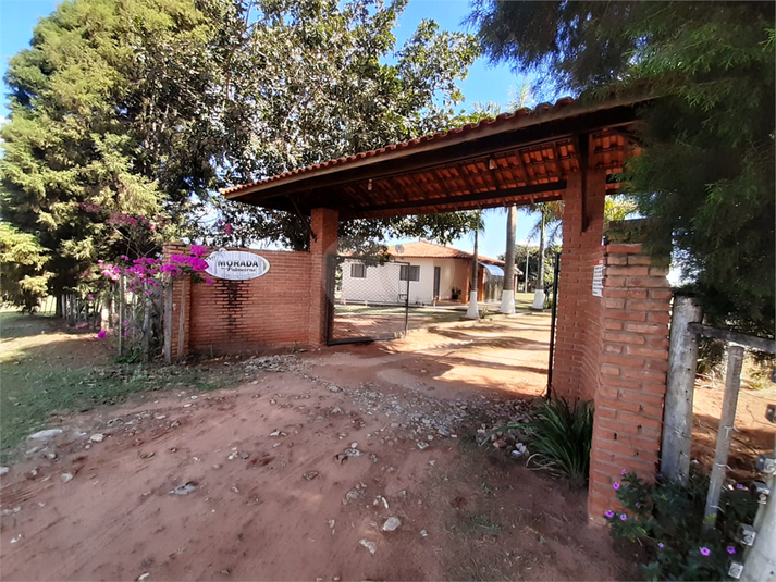 Foto REO719259