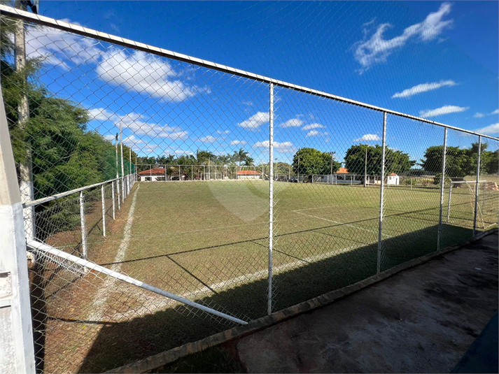 Foto REO719259