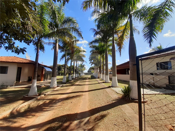 Foto REO719259