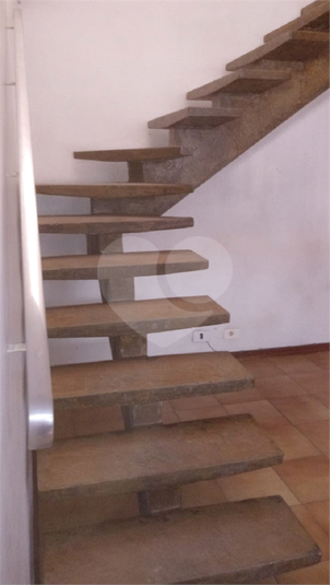 Foto REO719370
