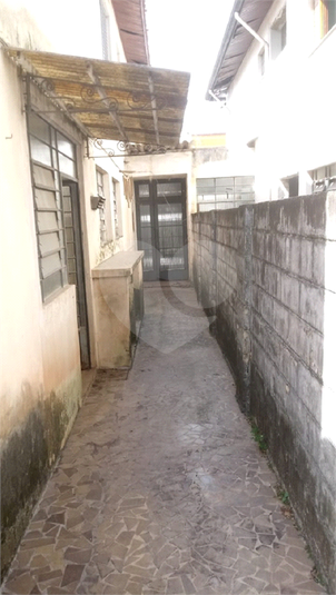 Foto REO719370