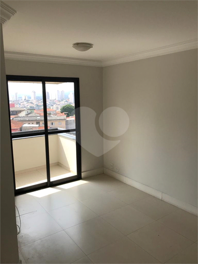 Foto REO719569