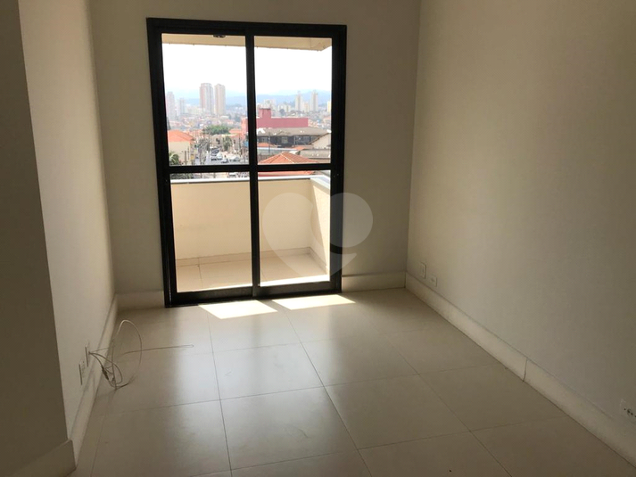 Foto REO719569