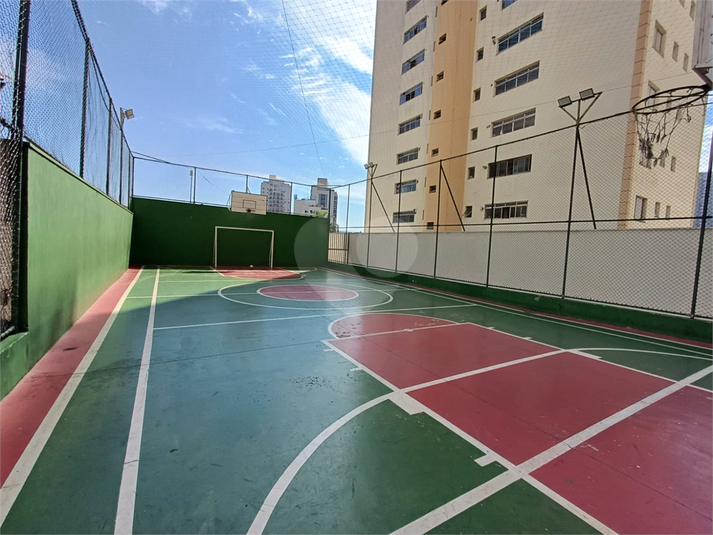 Foto REO719569