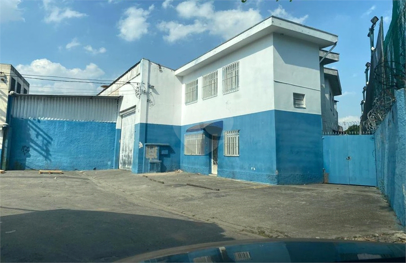 Foto REO719578