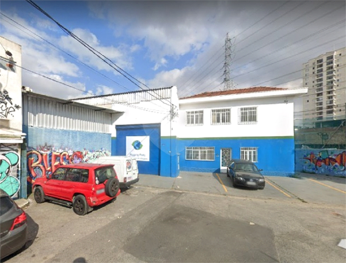 Foto REO719578
