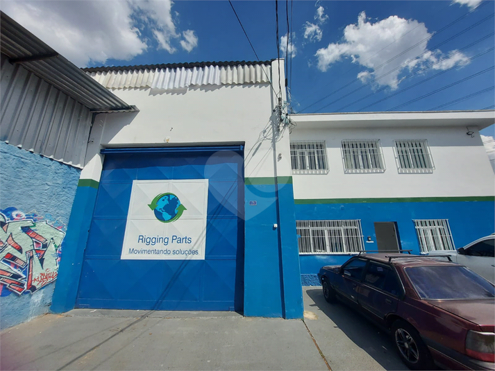 Foto REO719578