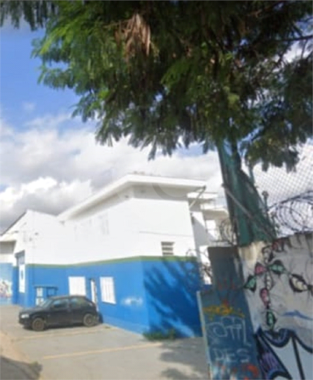 Foto REO719578