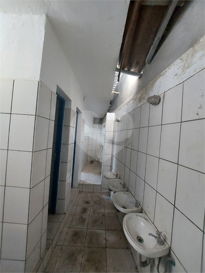 Foto REO719578