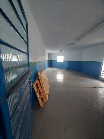 Foto REO719578