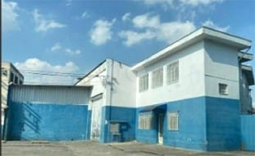Foto REO719578