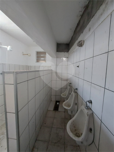 Foto REO719578