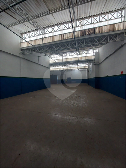 Foto REO719578
