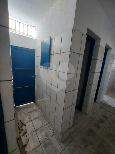 Foto REO719578