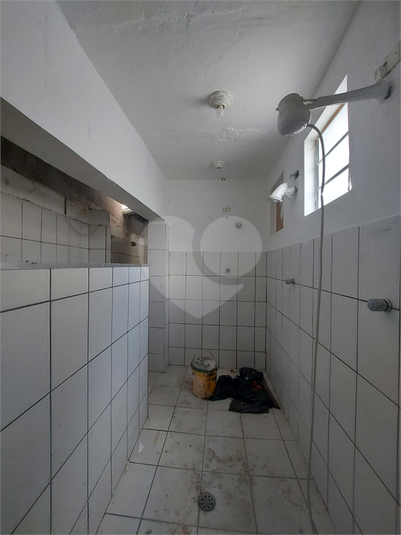 Foto REO719578