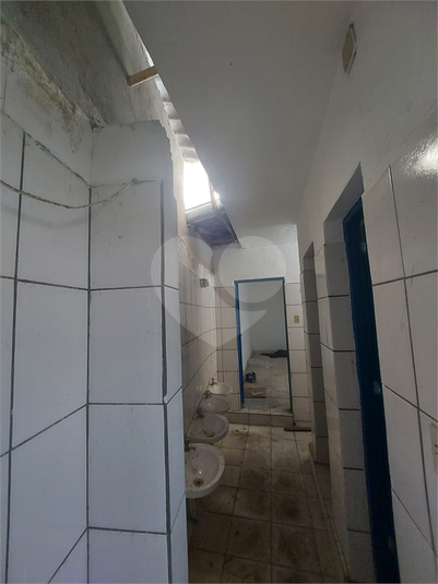 Foto REO719578