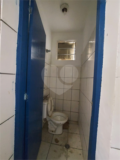 Foto REO719578