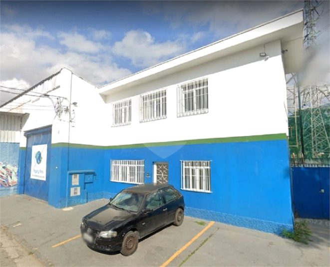 Foto REO719578
