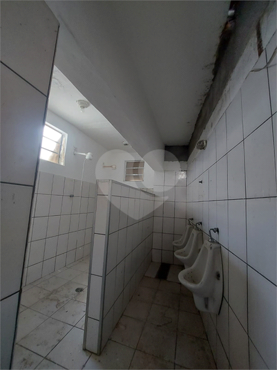 Foto REO719578