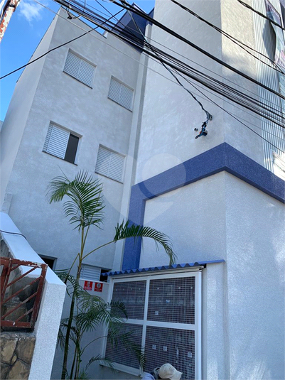 Foto REO719905